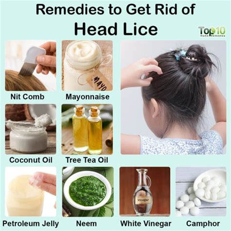 How to Kill and Get Rid of Head Lice: Treatment and Remedies.